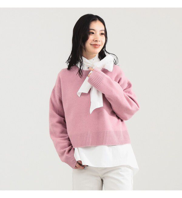 Demi-Luxe BEAMS 「7ゲージ ウール クルーネック プルオーバー」|ニット・セーター|