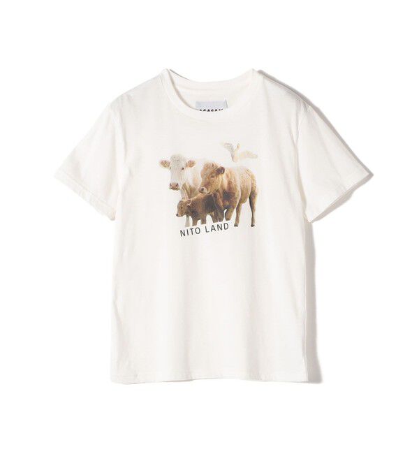 SHIPS for women「【SHIPS別注】ACASAM: フォト TEE」|Tシャツ・カットソー|