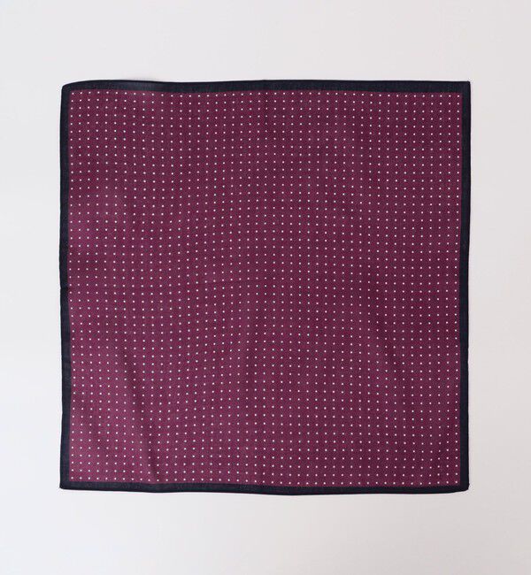 SHIPS Colors 「SHIPS Colors:ハンカチーフ」|ハンカチ|ワイン