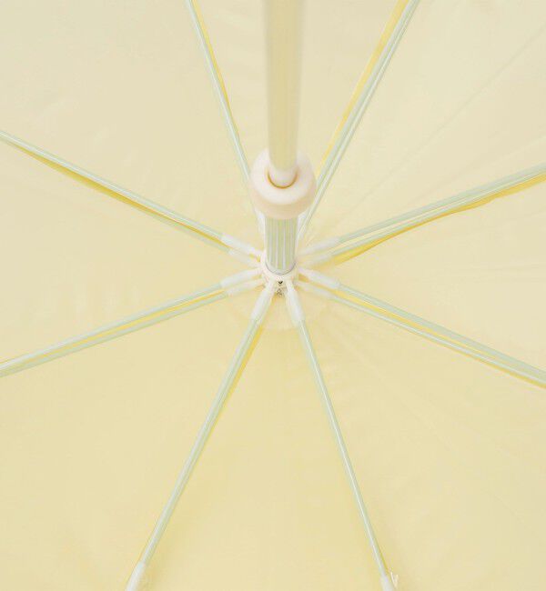 SHIPS Colors 「assa:グラデーション ジェリー 傘 (親骨60cm)◇」|傘|