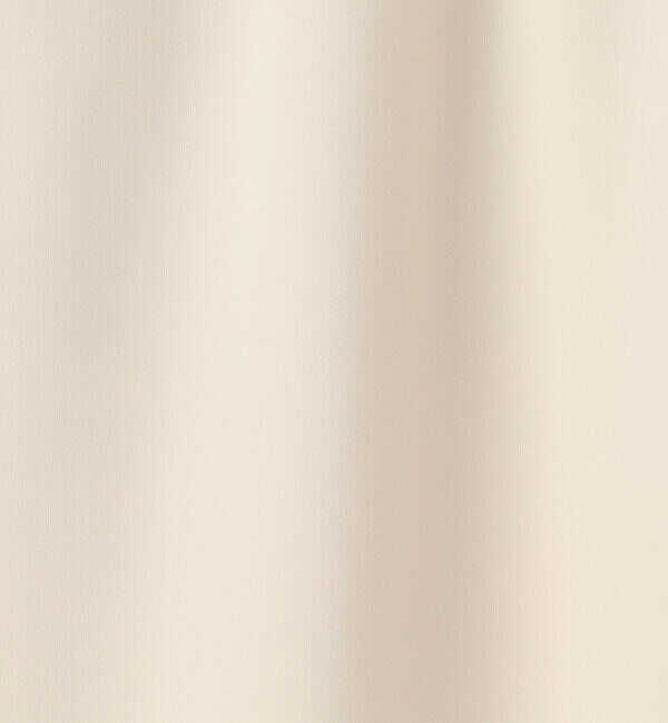 Ballsey「ドライダブルクロス Iラインスカート」|タイト|