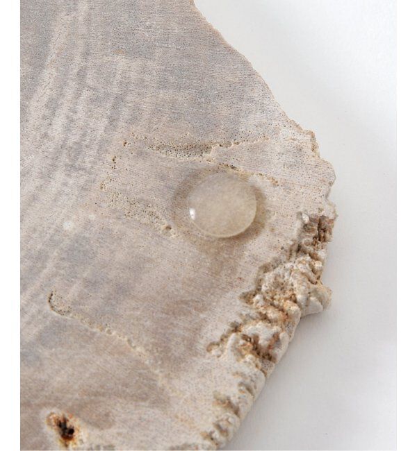 journal standard Furniture「PETRIFIED WOOD PLATE ウッドプレートS」|香水・フレグランス|