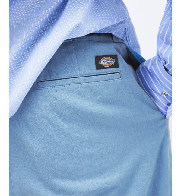 JOURNAL STANDARD「Dickies / ディッキーズ 別注 リゾート ステート パンツ」|その他|