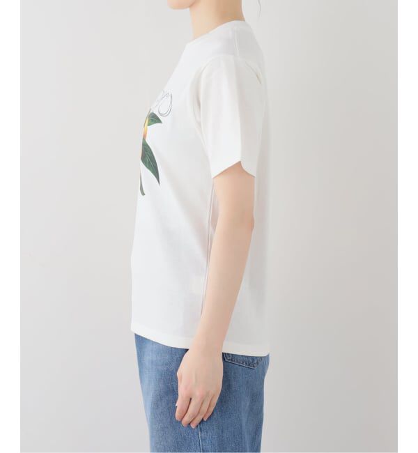  「【洗える】fruit print Tシャツ」|Tシャツ・カットソー|