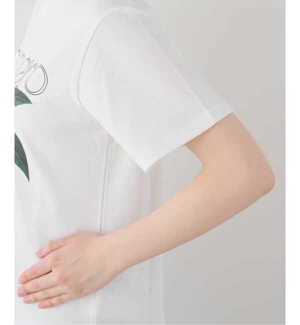  「【洗える】fruit print Tシャツ」|Tシャツ・カットソー|