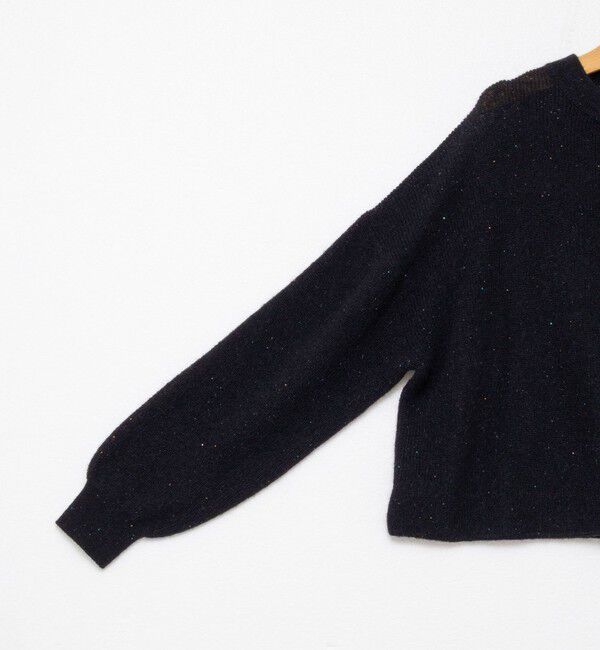NOLLEY'S「《手洗い可能》スパンコールプルオーバー」|ニット・セーター|