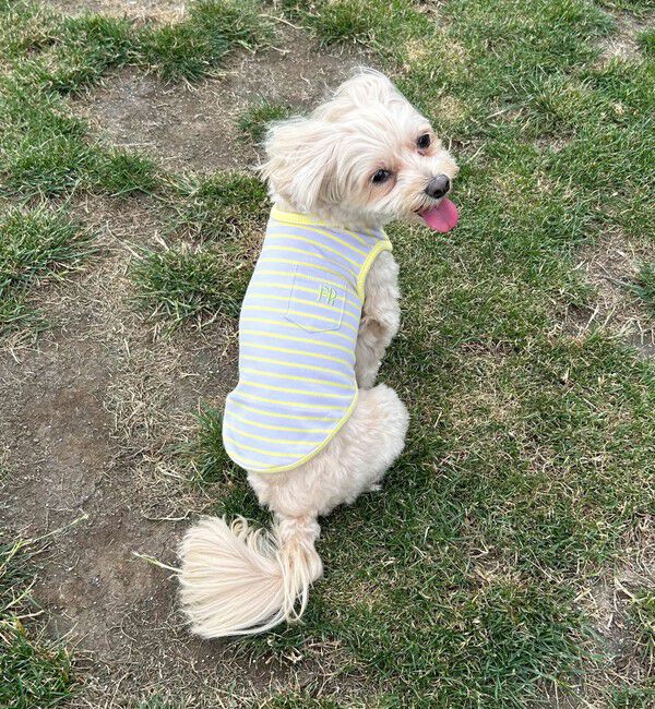 fredy emue「【FR PETS】FR刺繍ボーダーノースリーブTee」|Tシャツ・カットソー|パープル系その他