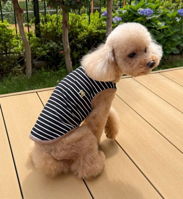 fredy emue「【FR PETS】FR刺繍ボーダーノースリーブTee」|Tシャツ・カットソー|