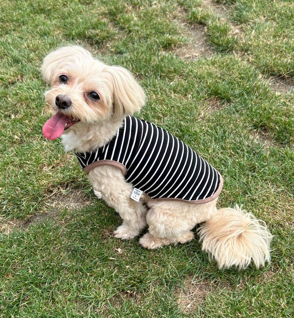 fredy emue「【FR PETS】FR刺繍ボーダーノースリーブTee」|Tシャツ・カットソー|