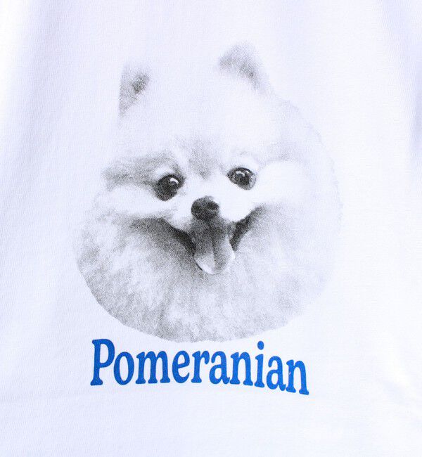 GLOSTER「【シリーズ累計人気】DOG＆CAT プリントTシャツ」|Tシャツ・カットソー|