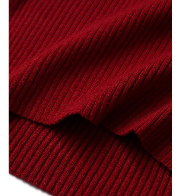 VIS「【新色追加】リブニットプチハイネックプルオーバー【低身長向けサイズ有】」|ニット・セーター|