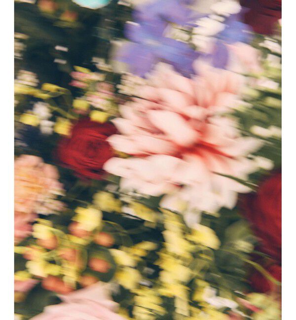 VIS「【DILIGENCE PARLOUR】VIS別注モデルローズ刺繍ポロケーブルニットスカート【セットアップ対応】」|スカート|