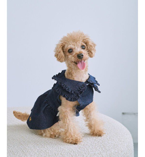 ROPE PICNIC PASSAGE「【DOG】襟付きデニムワンピース」|その他|コンメイン