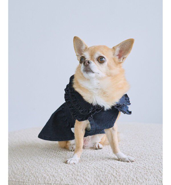 ROPE PICNIC PASSAGE「【DOG】襟付きデニムワンピース」|その他|