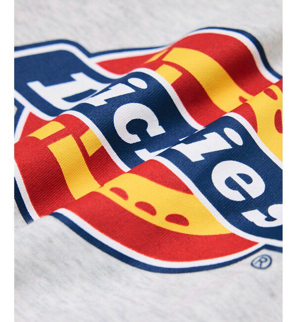 Rope&rsquo;Picnic「【Dickies】アイコンクロップドTシャツ」|Tシャツ・カットソー|