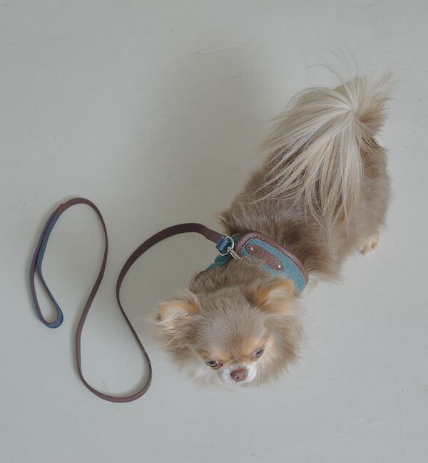 LOWELL things「MATIE/小型犬/ショートリード【Direction by  有末 麻祐子】」|その他|