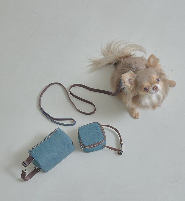 LOWELL things「MATIE/小型犬/ショートリード【Direction by  有末 麻祐子】」|その他|