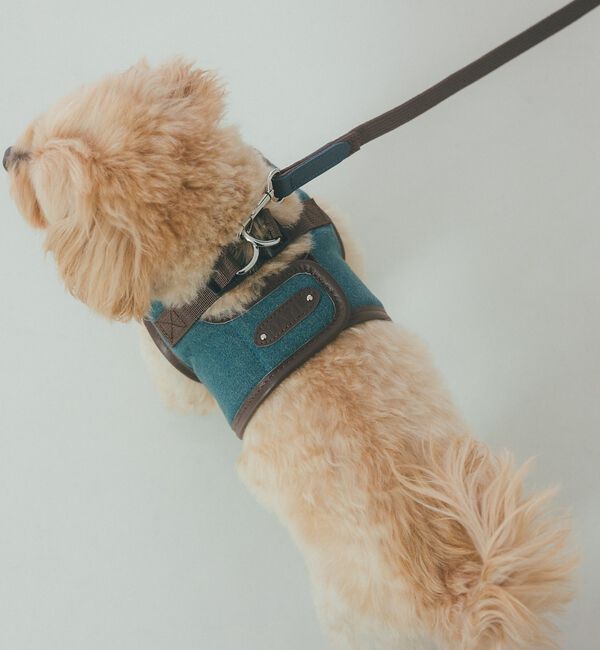 LOWELL things「MATIE/小型犬/ショートリード【Direction by  有末 麻祐子】」|その他|