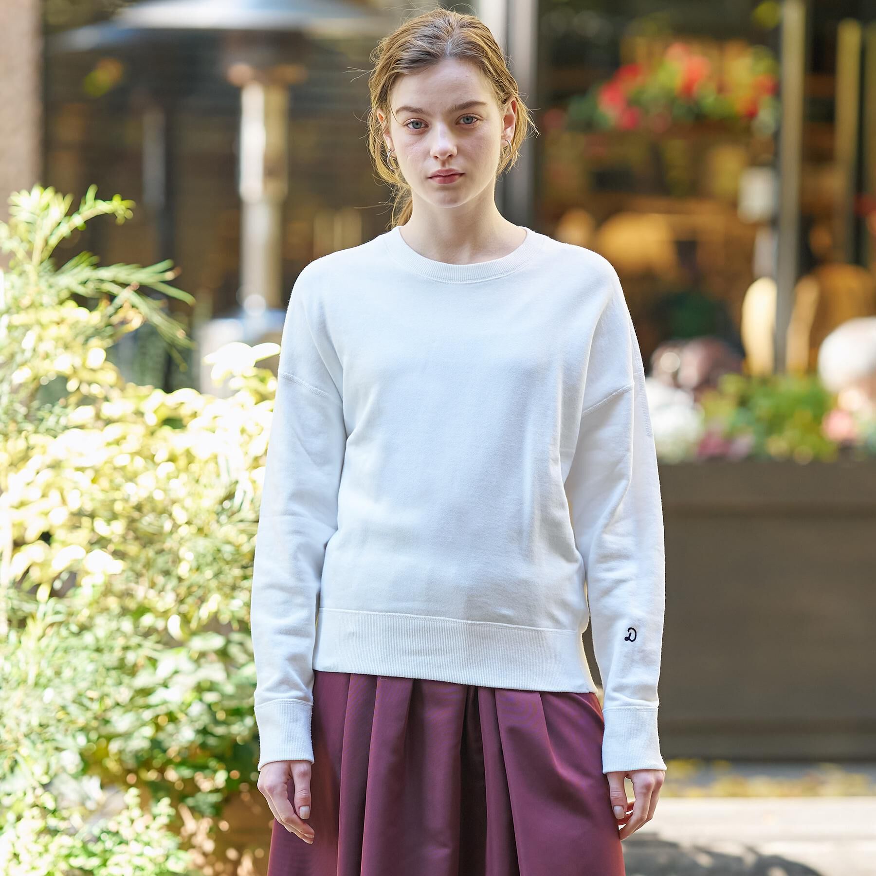 DRESSTERIOR「コットン裏毛プルオーバー」|パーカー|