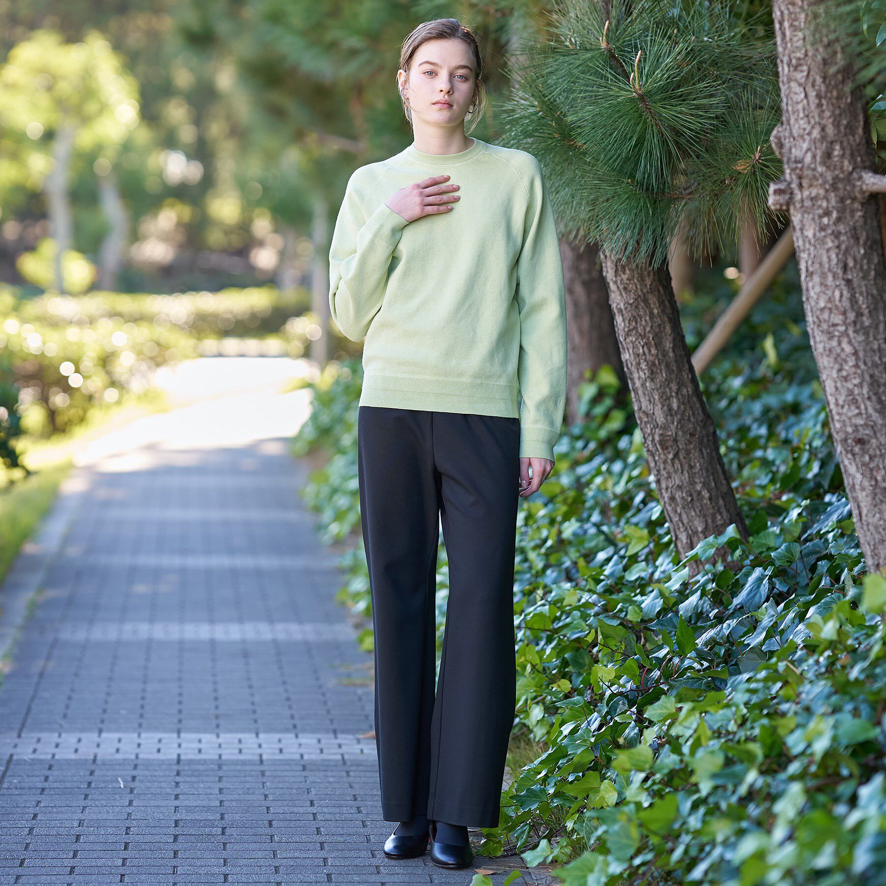 DRESSTERIOR「ウォッシャブルコットンカシミヤプルオーバーニット」|ニット・セーター|