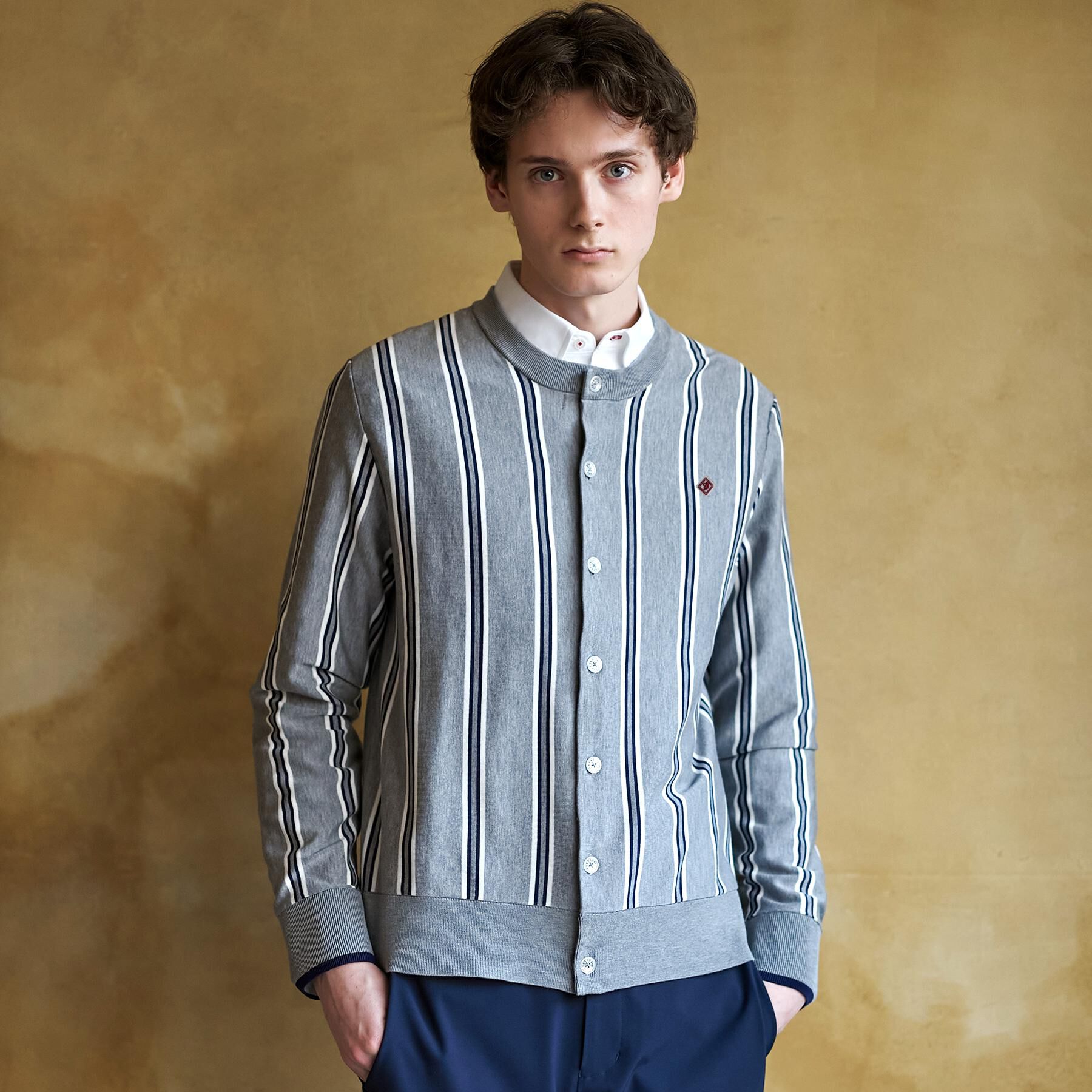 DRESSTERIOR「【ウォッシャブル】ウールレーヨン ストライプラウンドネックカーディガン」|カーディガン|グレー(212)