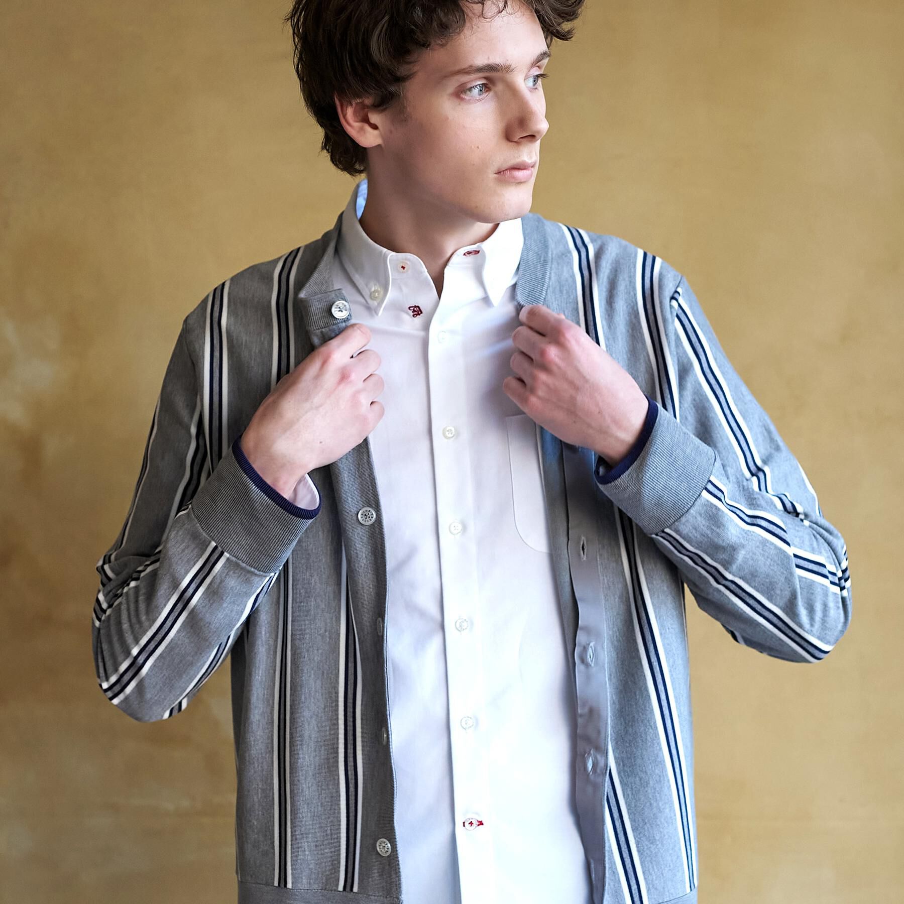 DRESSTERIOR「【ウォッシャブル】ウールレーヨン ストライプラウンドネックカーディガン」|カーディガン|