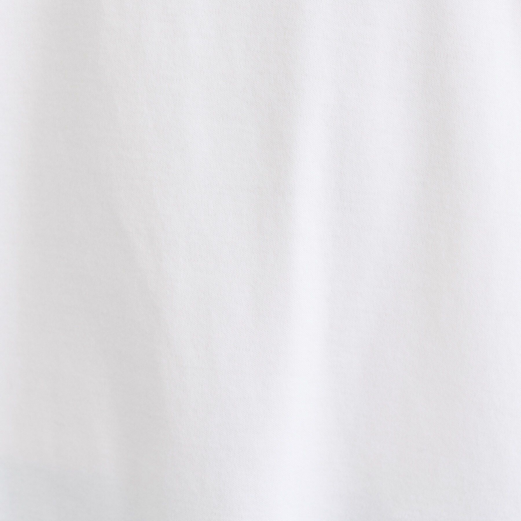 INDIVI「【洗える】きれいめラウンドテールロンT」|Tシャツ・カットソー|