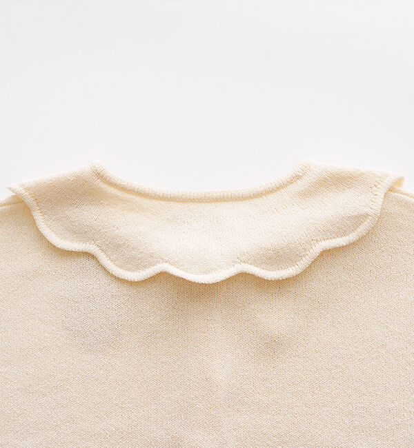 オオカミとフクロウ「オオカミと月星の遊園地」|カーディガン|