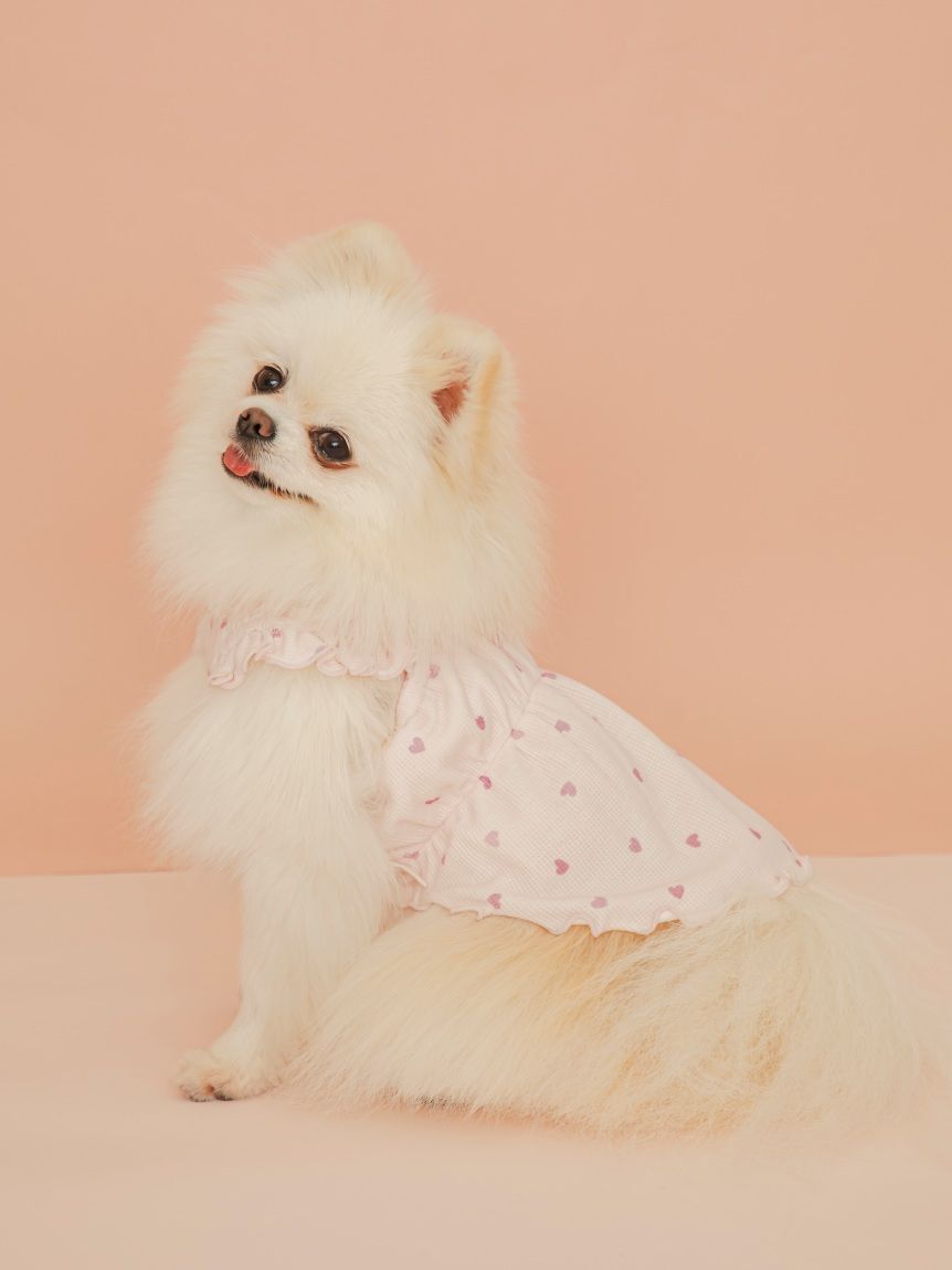  GELATO PIQUE CAT&DOG「【CAT&DOG】ハート柄フリルワンピース」|その他|