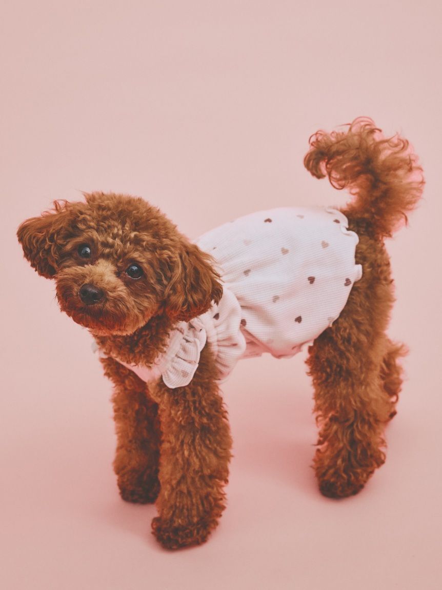  GELATO PIQUE CAT&DOG「【CAT&DOG】ハート柄フリルワンピース」|その他|