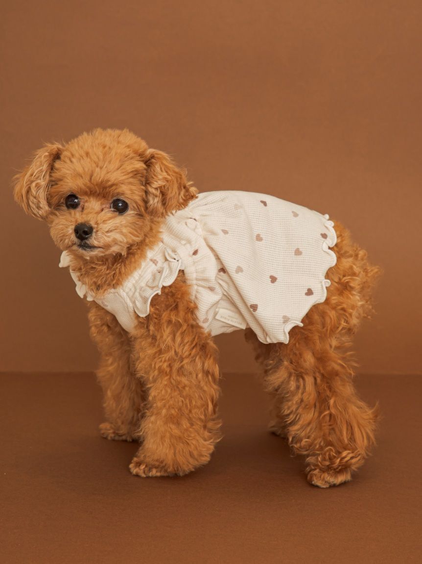  GELATO PIQUE CAT&DOG「【CAT&DOG】ハート柄フリルワンピース」|その他|