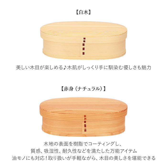 BACKYARD FAMILY「わっぱ 弁当箱 通販 新型 1段 一段 500ml 650ml わっぱ弁当 まげわっぱ 曲げわっぱ」|食器・キッチングッズ|
