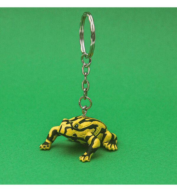 BEAMS「Science and Nature / Animal Keyring」|キーケース|CORROBOREE_FROG