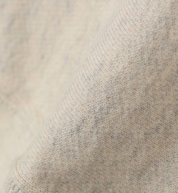 SHIPS any「【SHIPS any別注】Champion: リバースウィーブ(R) STANDARD スウェット◇」|スウェット・ジャージ|