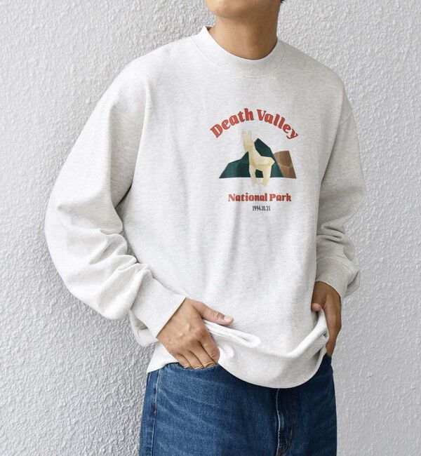 SHIPS any「【WEB限定】SHIPS any: NATIONAL PARK プリント スウェット 25AW(ユニセックス)◇」|スウェット・ジャージ|