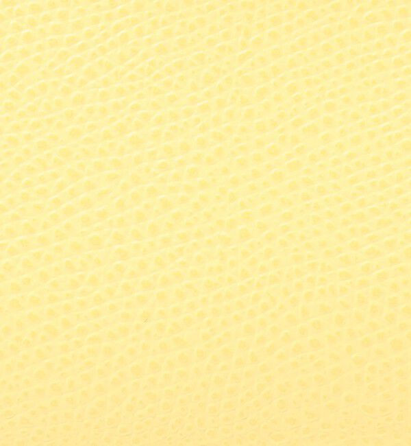 TOMORROWLAND GOODS「CARBOTTI  GRETA 245 ハンドバッグ」|ハンドバッグ|