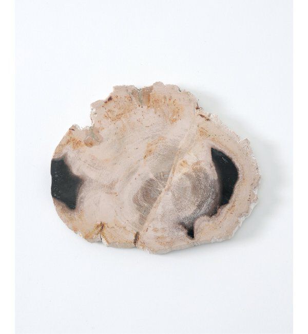 journal standard Furniture「PETRIFIED WOOD PLATE ウッドプレートS」|香水・フレグランス|