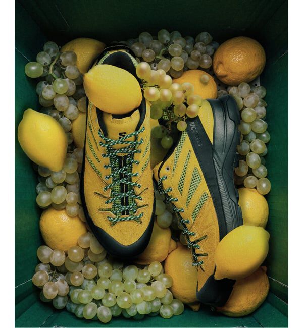 JOURNAL STANDARD「《予約》販路限定【SALOMON / サロモン】exclusive X-ALP WOVEN」|スニーカー|イエロー