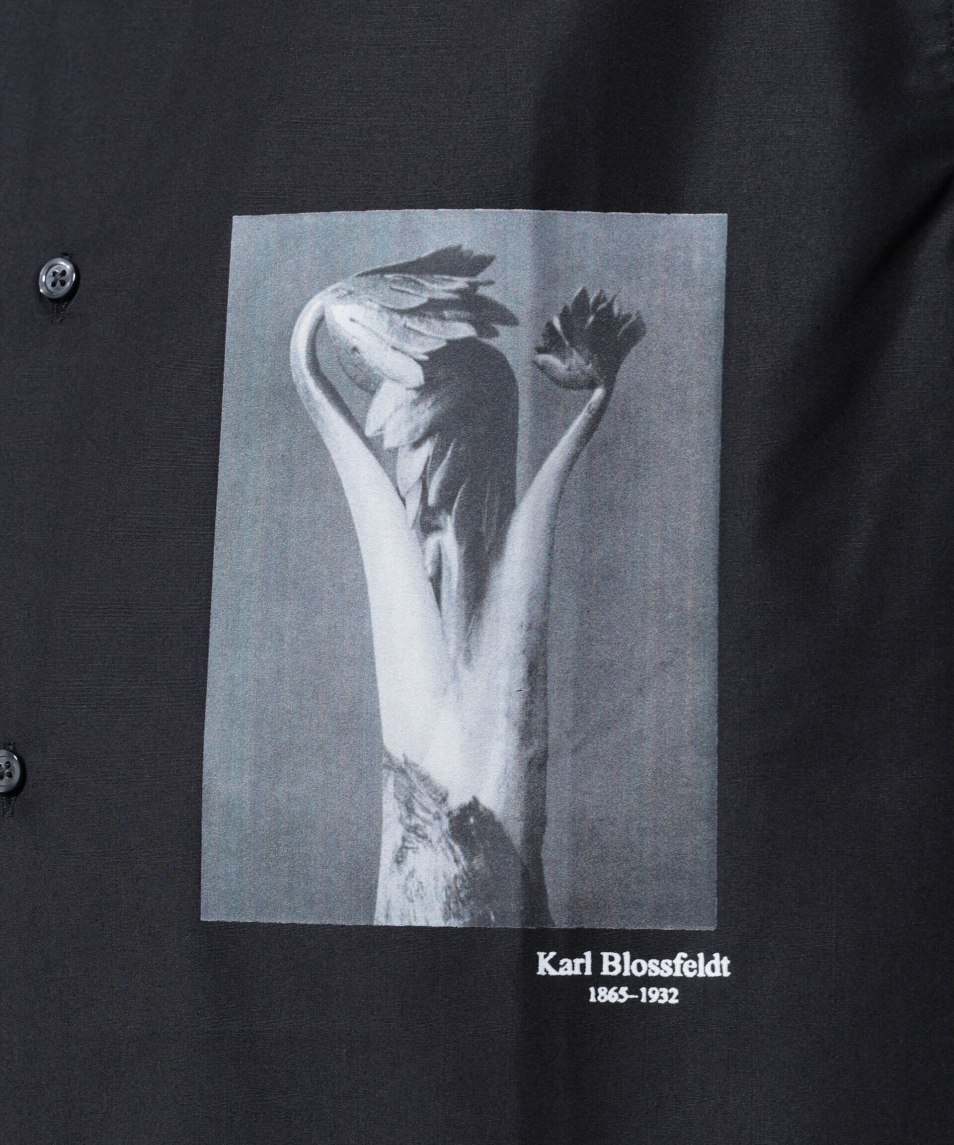 nano･universe「「着るアート」karl blossfeldt 半袖シャツ2」|シャツ・ブラウス|
