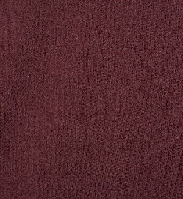 NOLLEY'S「ウォッシャブルシアーフライスロンT」|Tシャツ・カットソー|