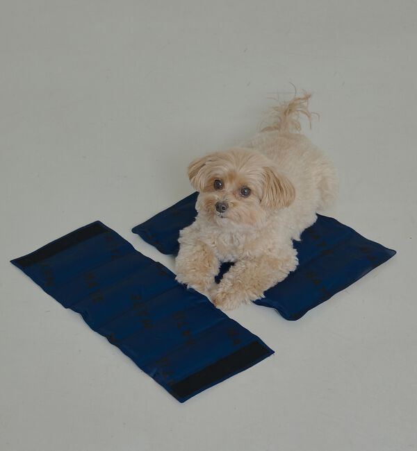 LOWELL things「MATIE/ 保冷ジェルマットL/ペットリュック対応【Direction by」|その他|