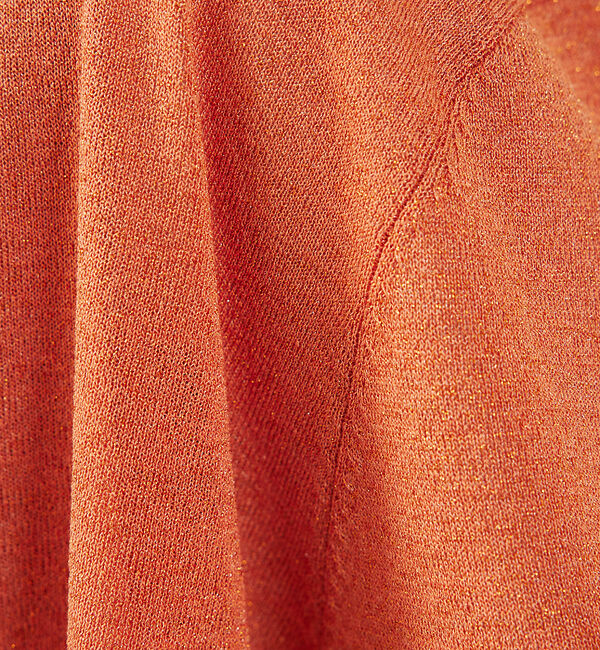 abahouse mavie「【アンサンブル対応】ウォッシャブルラメVネックカーディガン」|カーディガン|