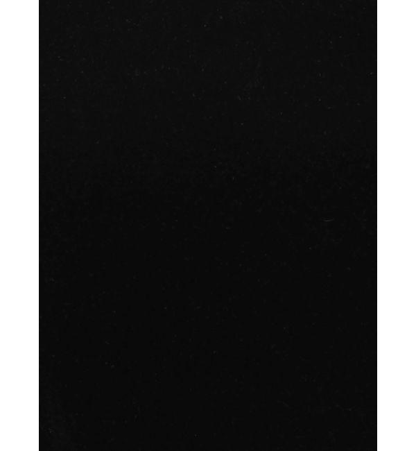 ELENDEEK「FROCKY TULLE PAD TANK」|タンクトップ|