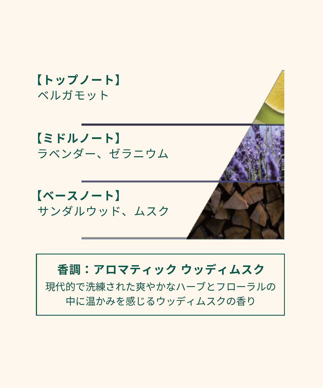 THE BODY SHOP「ブルームスク ヘア&ボディウォッシュ 250mL」|シャンプー|