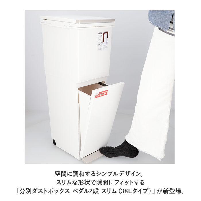 BACKYARD FAMILY「アスベル ゴミ箱 ASVEL 6605 通販 ダストボックス ごみ箱 分別ペダル ごみばこ」|ダストボックス|