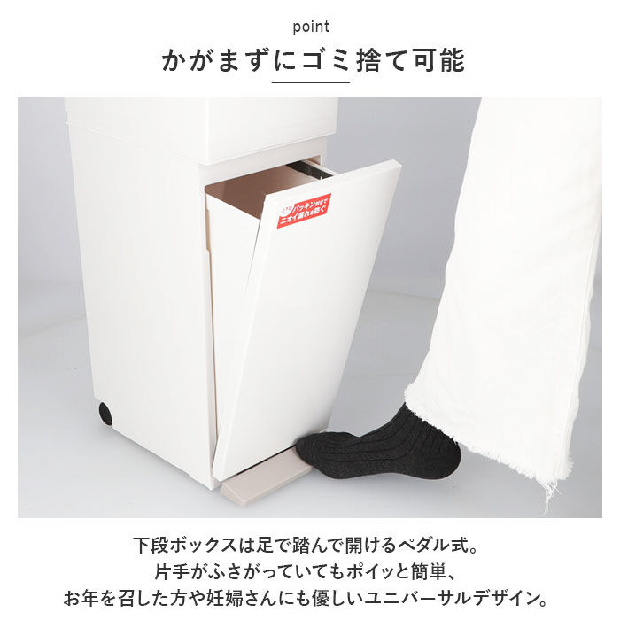 BACKYARD FAMILY「アスベル ゴミ箱 ASVEL 6605 通販 ダストボックス ごみ箱 分別ペダル ごみばこ」|ダストボックス|