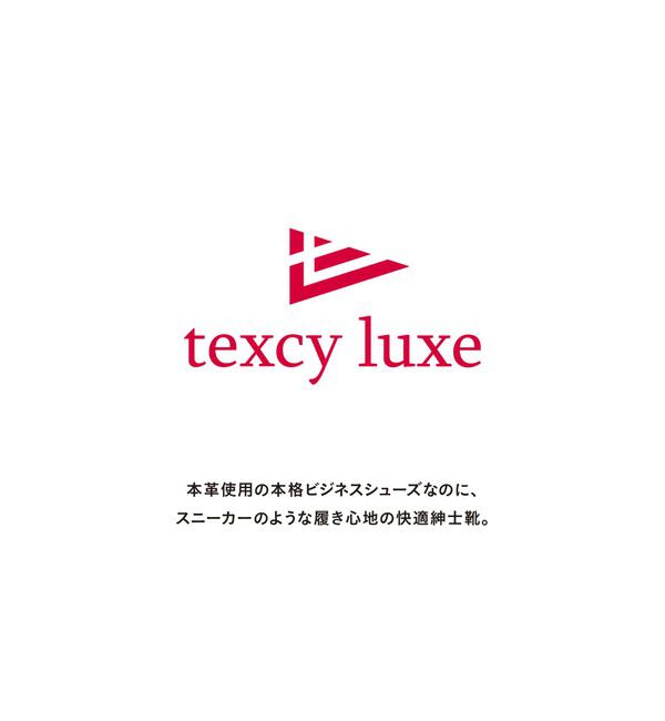 UNITED ARROWS green label relaxing「＜texcy luxe＞ダブルモンク GORE-TEX ドレスシューズ」|ビジネス・ドレスシューズ|