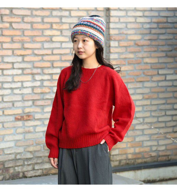 BEAMSBOY「【別注】Nor&rsquo;Easterly / シェットランド シャギー クルーネック 25FW」|ニット・セーター|