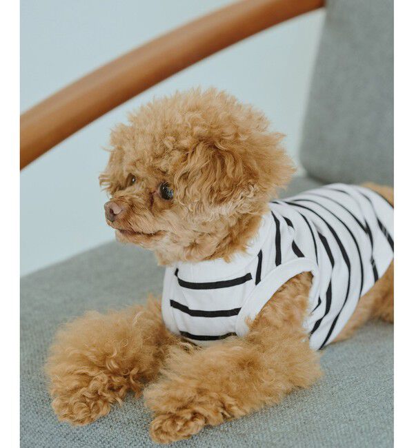 ROPE PICNIC PASSAGE「【DOG】リンクボーダータンクトップ」|その他|