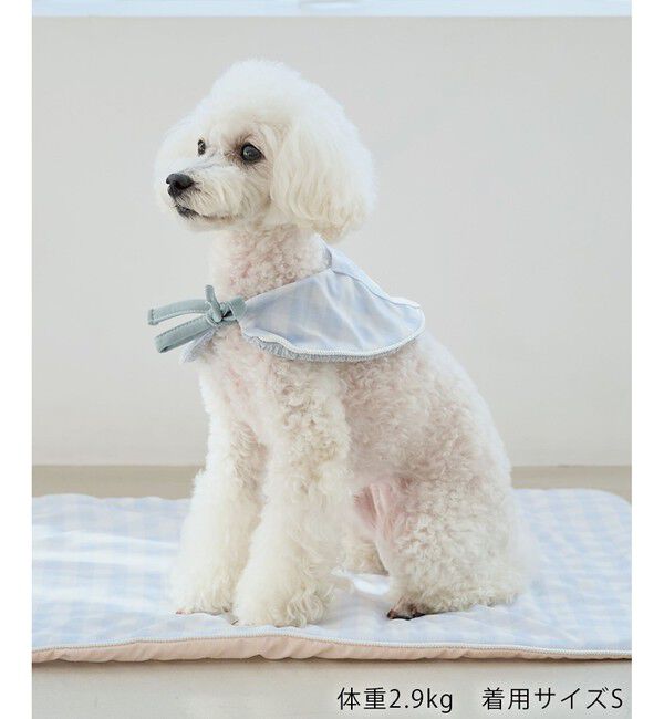 ROPE PICNIC PASSAGE「【DOG】リンクボーダータンクトップ」|その他|